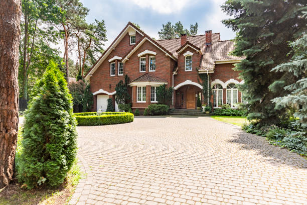 Best Local Driveway Pavers  in Clermont, FL